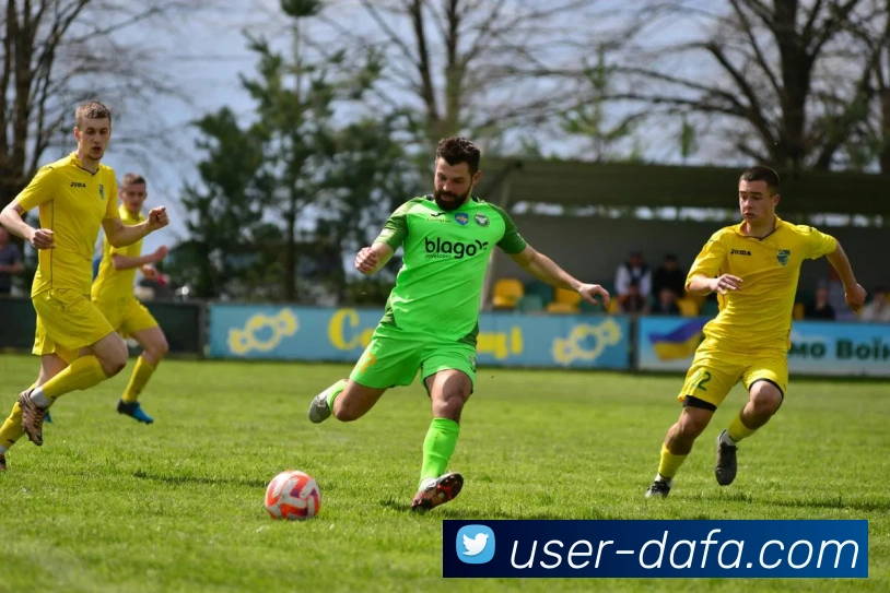 大发彩票平台生态图