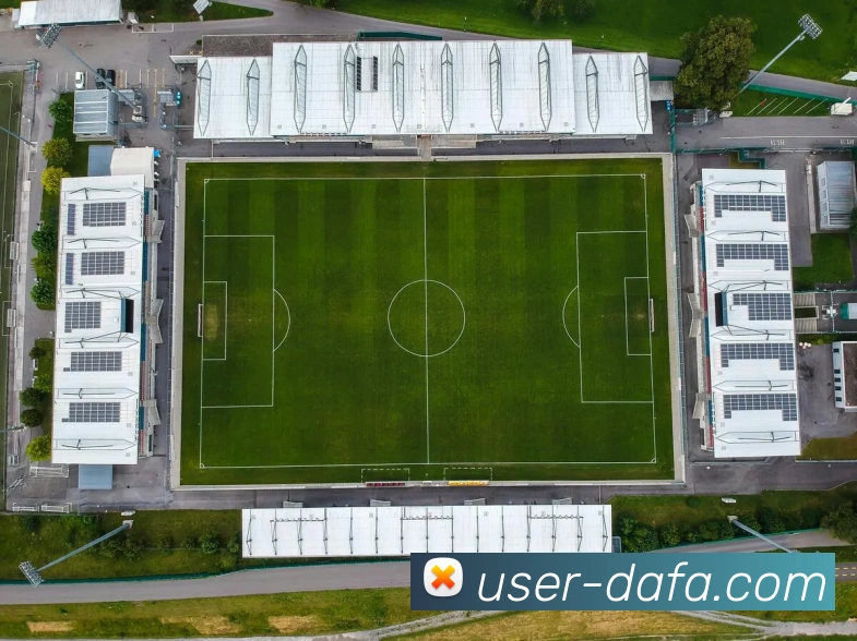 大发彩票APP 封面图